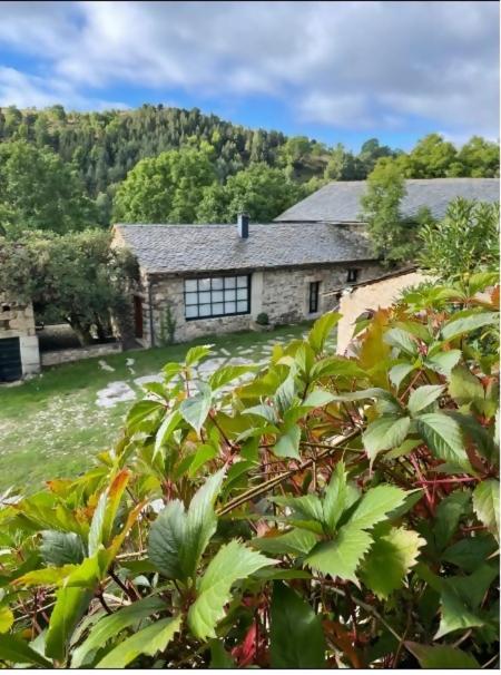 Le Chateau Brangoly (Adults Only) Enveitg 外观 照片
